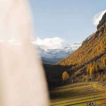 Otel Walliserhof Täsch