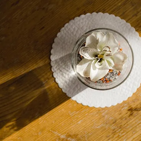 Walliserhof Hotel Täsch