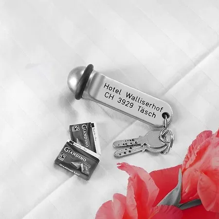 Walliserhof Hotel 2*