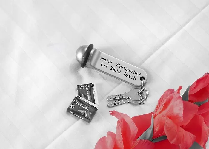 Walliserhof فندق 2*