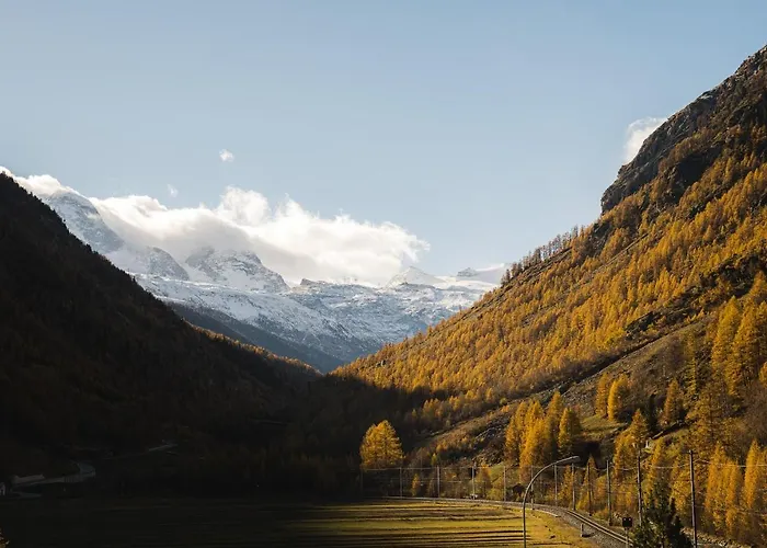 Walliserhof فندق 2*