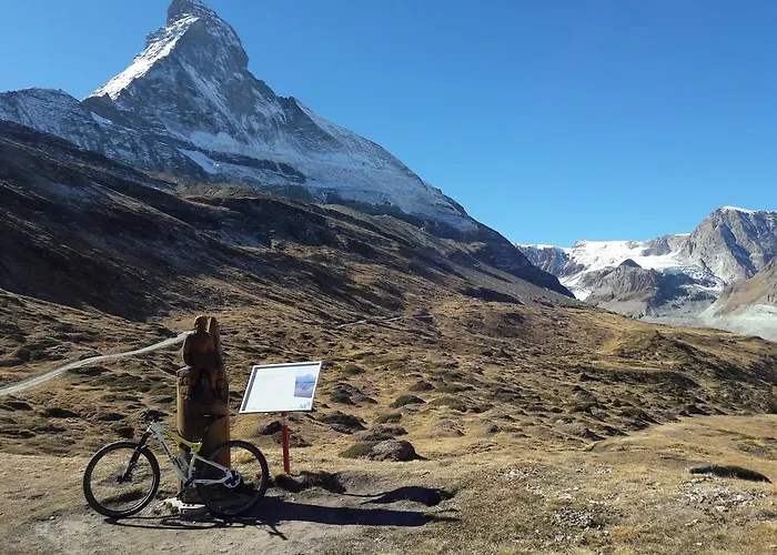 Walliserhof فندق تاش