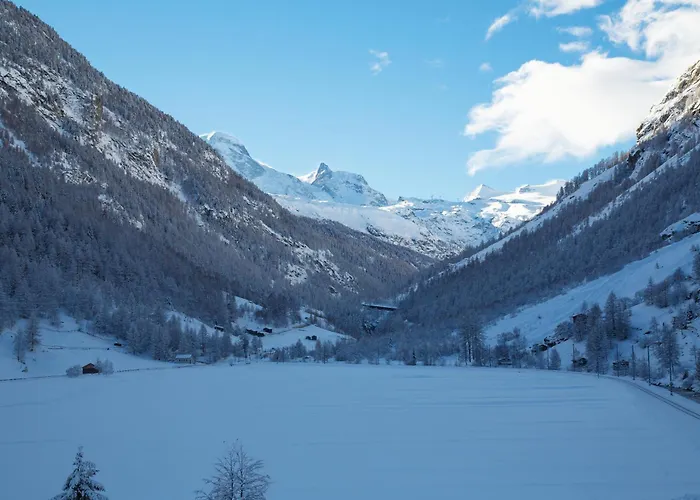 Walliserhof فندق 2*